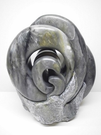 'Schwarzes Felsengras'