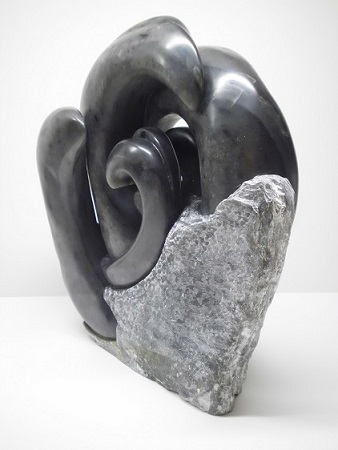 'Schwarzes Felsengras'